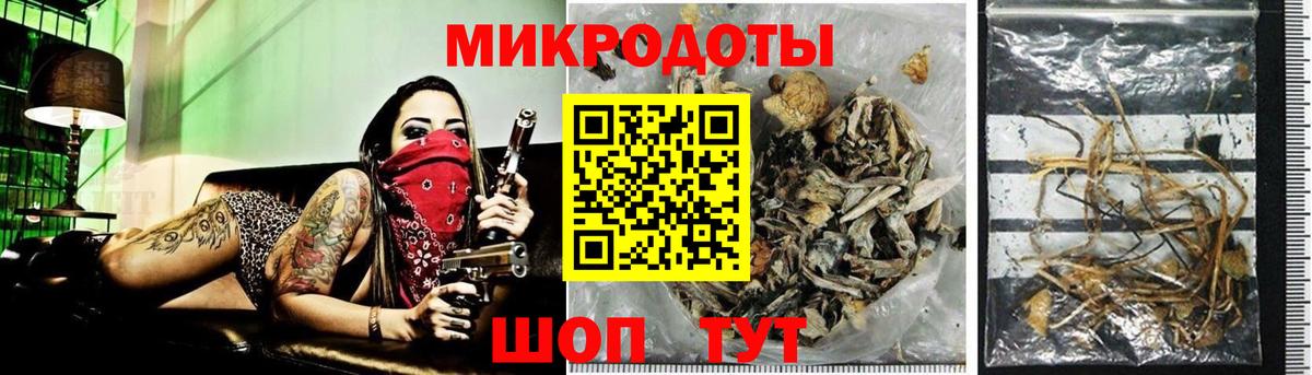 Псилоцибиновые грибы Cubensis Владивосток
